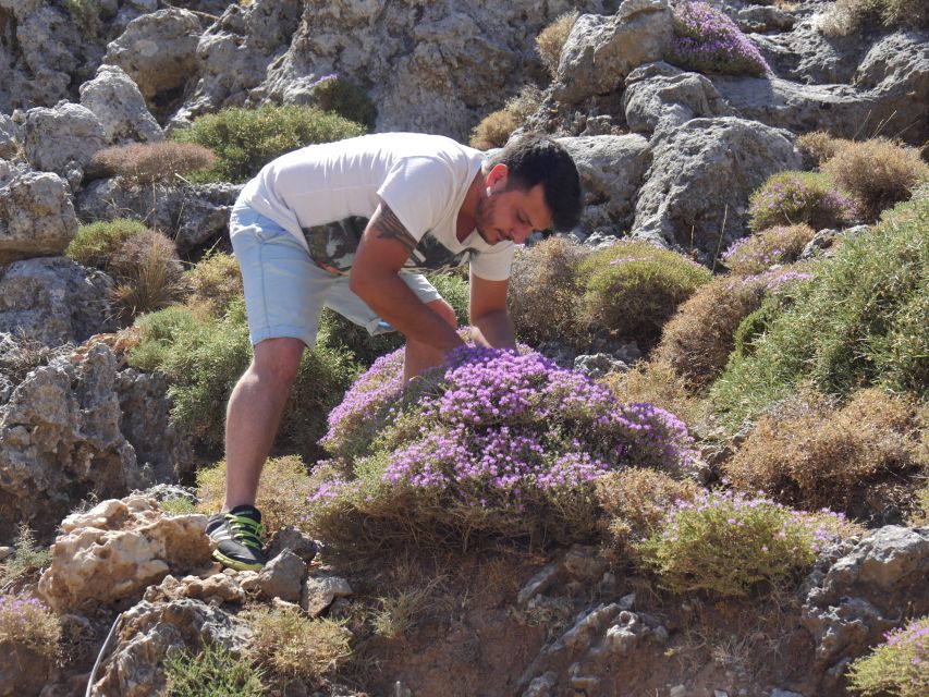 Georgioupolis Full-Day Land Rover Safari Experience - Tasting raki, honey, herbs, and olive oil in one focused stop