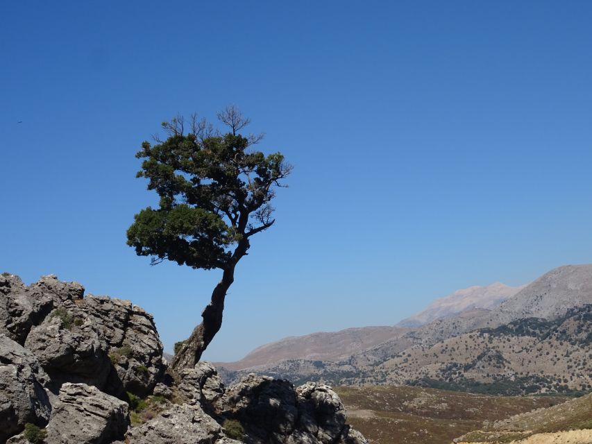 Georgioupolis Full-Day Land Rover Safari Experience - The secluded beach swim and the lunch you will remember