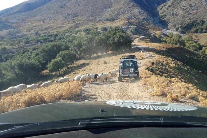 Georgioupolis Safari Off Road Tours Outdoor Activities Land Rover Defender - White Mountains (Lefka Ori): Shepherd Trails, Vultures, and Views That Surprise You