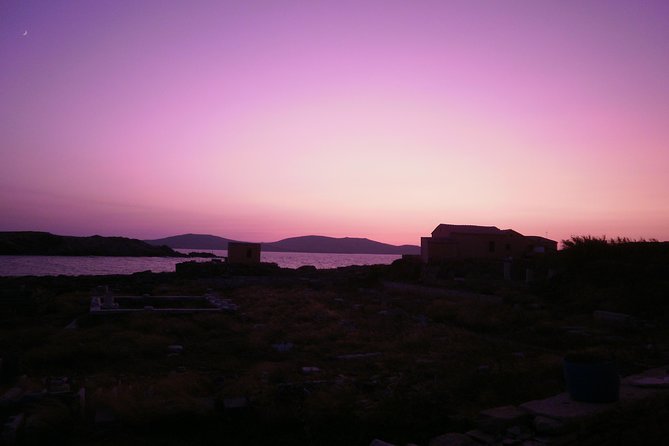 Half-Day Delos Tour from Mykonos - Hearing your guide clearly with the wireless system