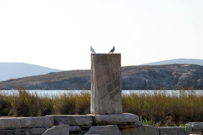 Half-Day Delos Tour from Mykonos - The guided walk across Delos ruins: from Dionysos to Cleopatra