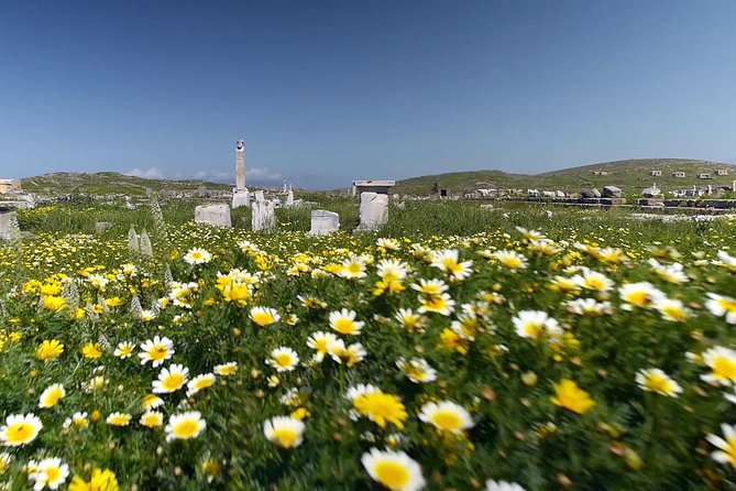 Half-Day Delos Tour from Mykonos - Key monuments you’ll pass: Philippe’s Stoa, Propylaia, Naxian treasures, and Apollo