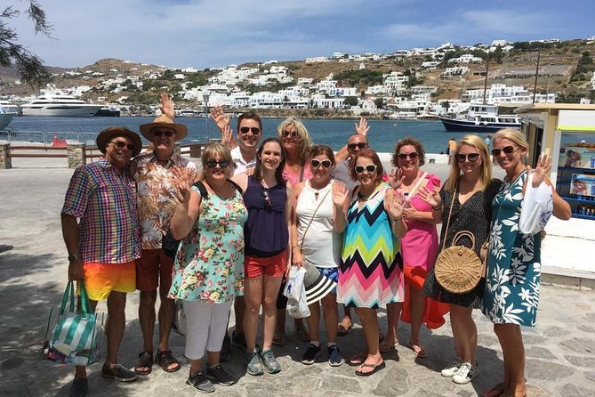 Half-Day Highlights of Mykonos Tour - Kato Milli Windmills: the Venetian silhouette on Mykonos