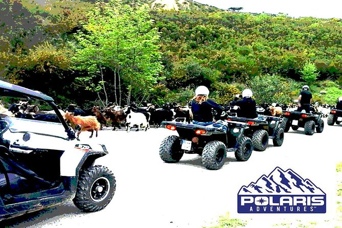 Half-Day Rethymno Quad Safari - Thavma coffee, Cretan food, and the viewpoint over Rethymno