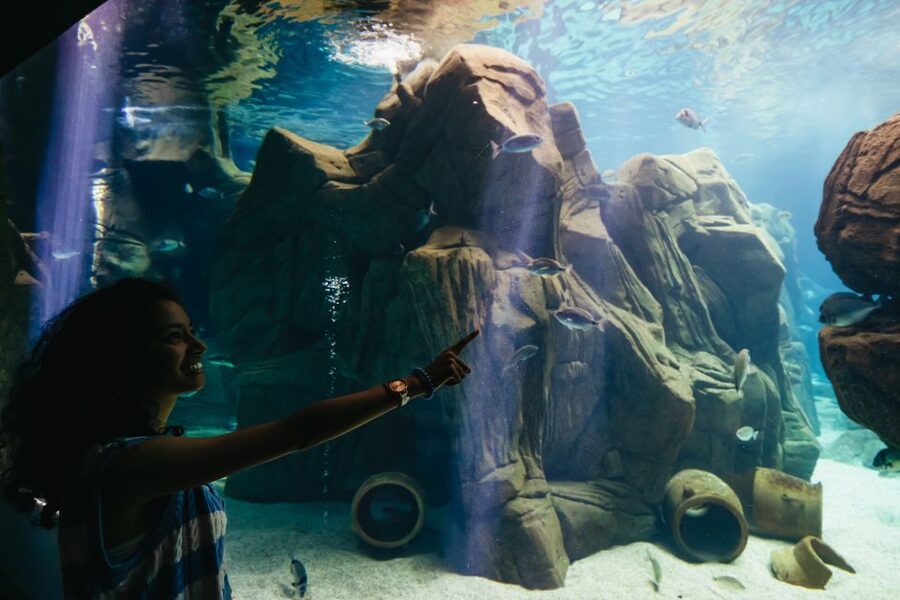 Heraklion Area: CRETAquarium Admission Ticket - FAQ