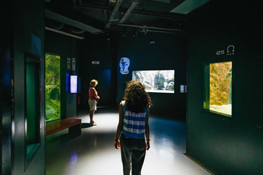 Heraklion Area: CRETAquarium Admission Ticket - Audio guide and exhibit education: how the meaning lands