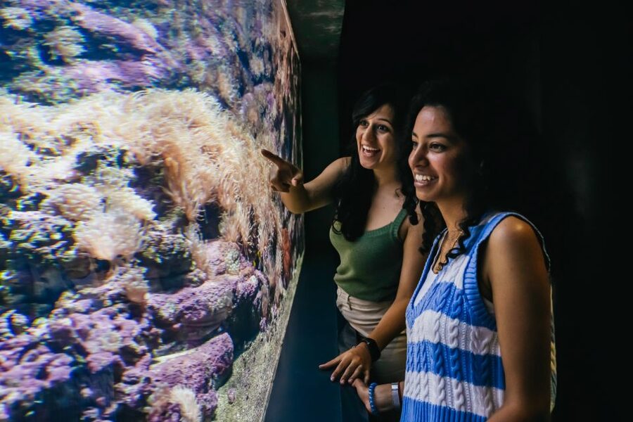 Heraklion Area: CRETAquarium Admission Ticket - Food, breaks, and practical tips that save your energy