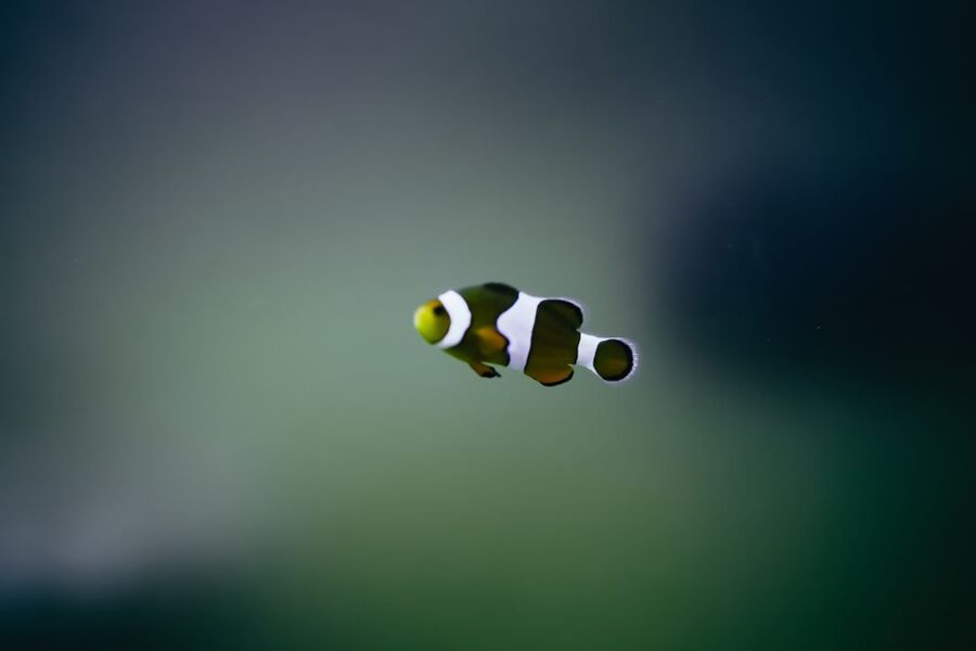 Heraklion Area: CRETAquarium Admission Ticket - Should you book a CRETAquarium admission ticket?