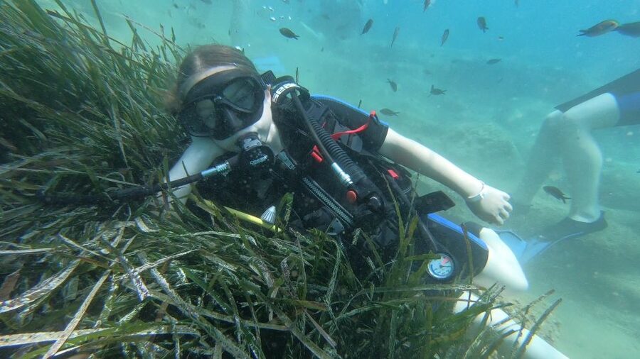 Heraklion: Beginner Scuba Diving Lesson with PADI Instructor - Is This Worth $88? What You Get and Why It Feels Fair