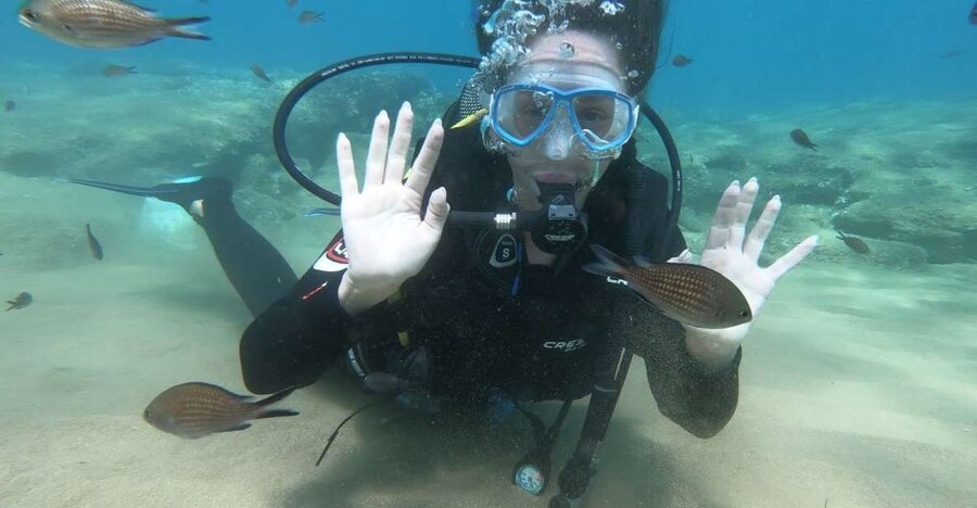Heraklion: Beginner Scuba Diving Lesson with PADI Instructor - Multimedia Intro and Equipment Practice: Where Confidence Starts
