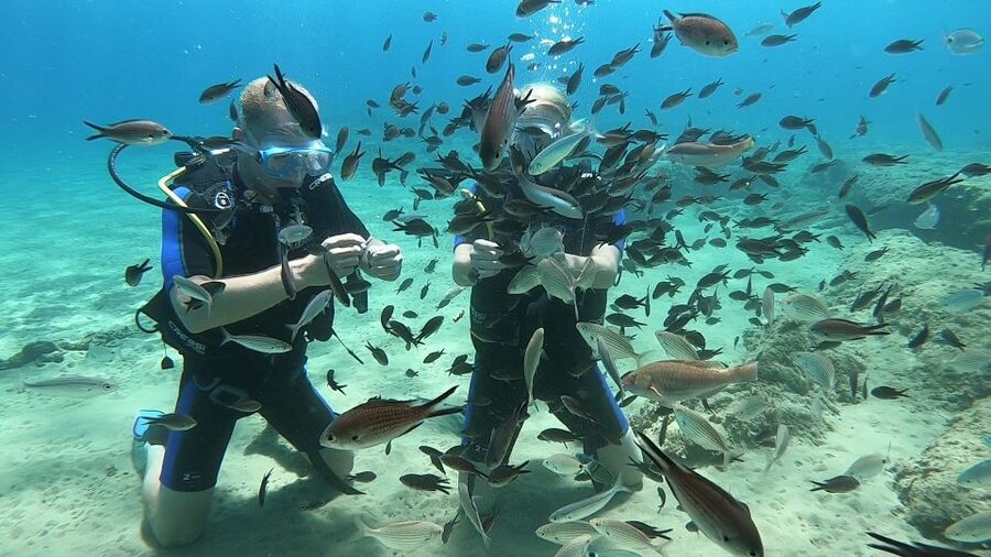 Heraklion: Beginner Scuba Diving Lesson with PADI Instructor - The Safety Briefing That Actually Feels Practical