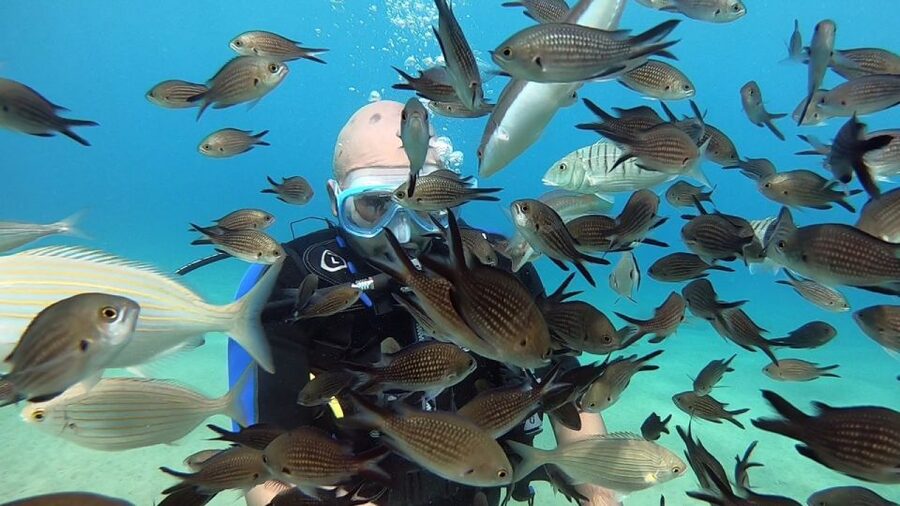 Heraklion: Beginner Scuba Diving Lesson with PADI Instructor - Gear, Supervision, and Group Size: The Real Value of This Package
