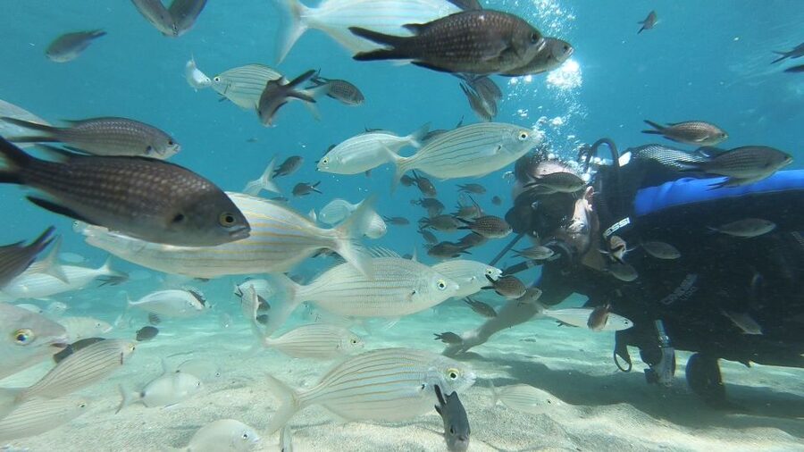 Heraklion: Beginner Scuba Diving Lesson with PADI Instructor - What You Should Bring (and What to Skip)