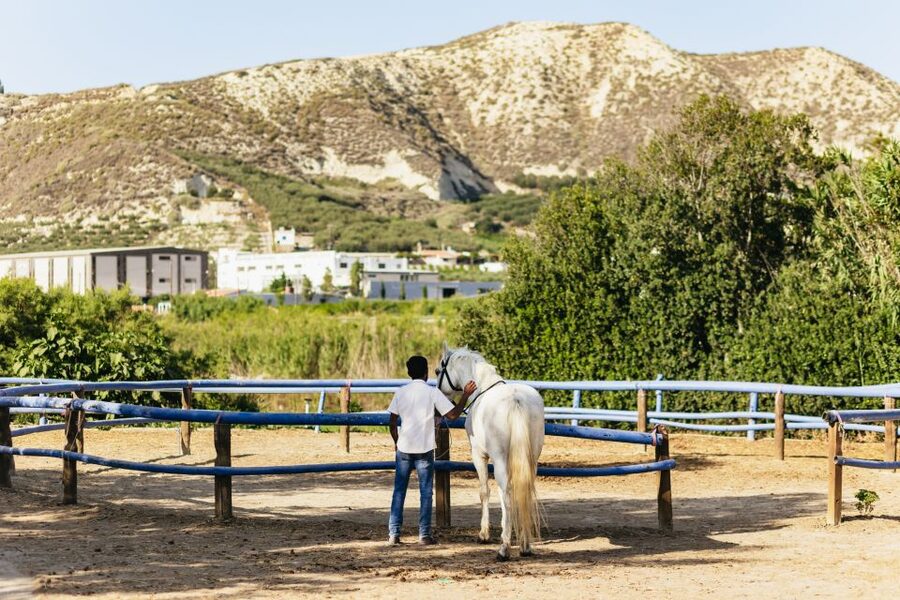 Heraklion: Finikia Horse Riding Tour with Lunch or Dinner - Key things that make this tour worth your time