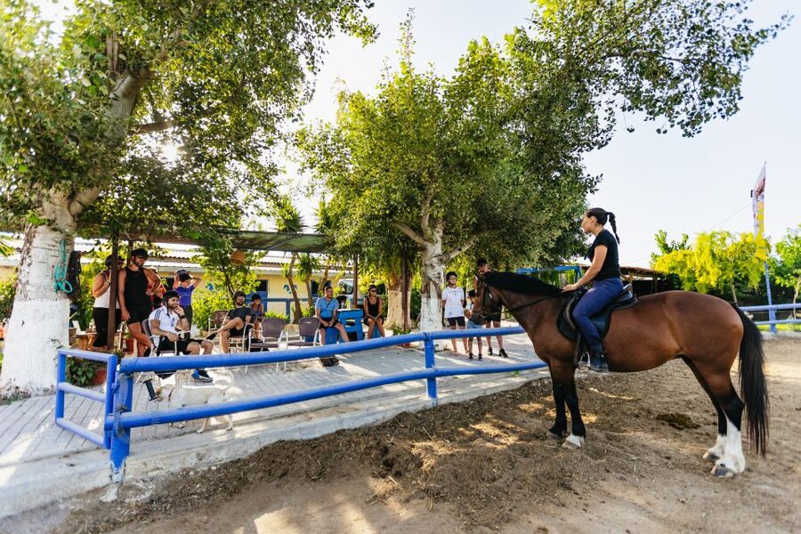Heraklion: Finikia Horse Riding Tour with Lunch or Dinner - Should you book this tour?