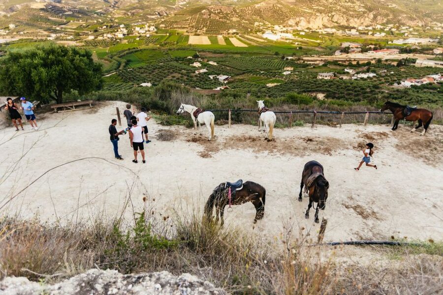 Heraklion: Finikia Horse Riding Tour with Lunch or Dinner - Price and value: what $94 buys you in real-world terms