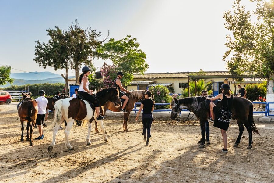 Heraklion: Finikia Horse Riding Tour with Lunch or Dinner - Who should book Finikia Horse Riding, and who might skip it