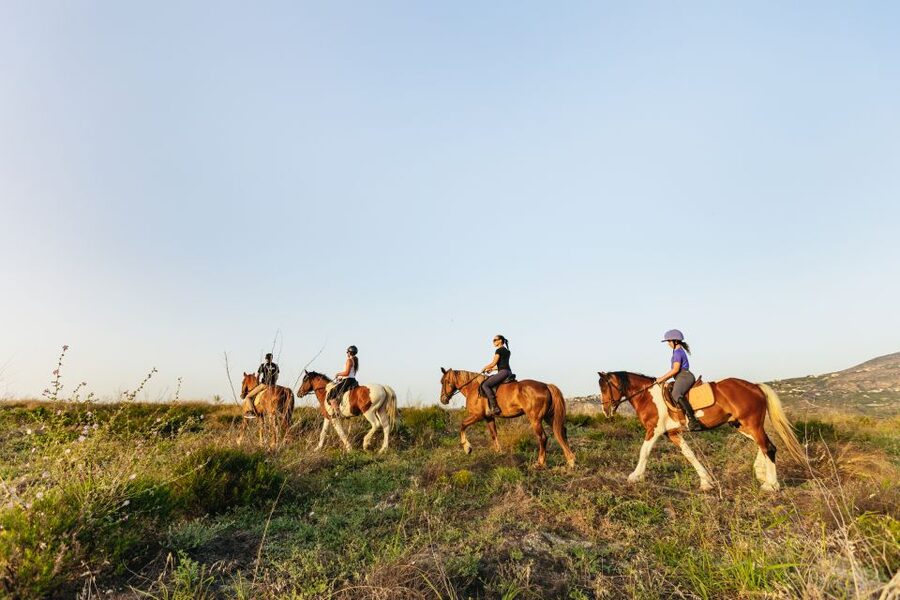 Heraklion: Horse Ride in the Cretan Mountains - Key Things I’d Put on Your Radar
