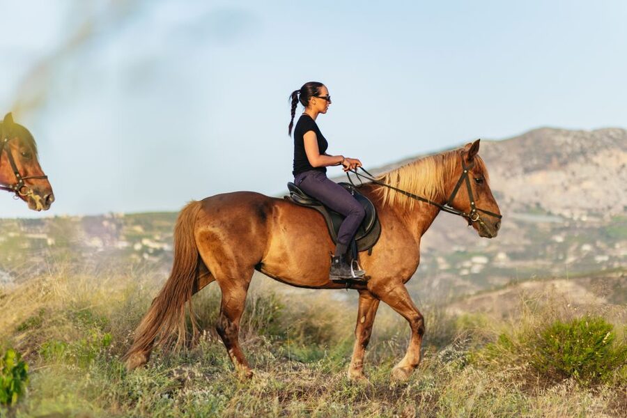 Heraklion: Horse Ride in the Cretan Mountains - Riding for Different Levels (Including the Canter Moment)
