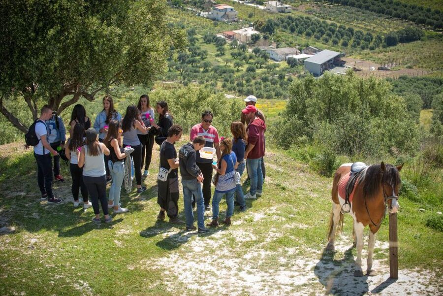 Heraklion: Horseriding Day Tour with Lunch and Transfer - Finikia Mountains horseback riding, picnic, and Zeus views from Heraklion