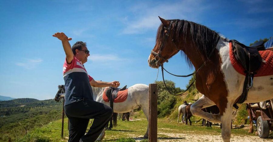 Heraklion: Horseriding Day Tour with Lunch and Transfer - The 4.5-hour timing: how the flow feels from pickup to lunch