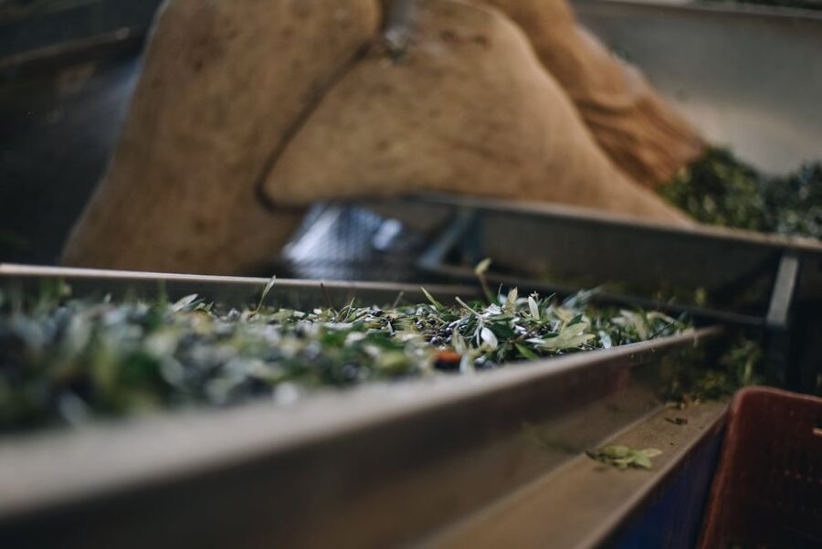 Heraklion: Olive Farm Tour with Tasting of Local Delicacies - Getting to Kleanthi in Skalani: the part that can make or break your day