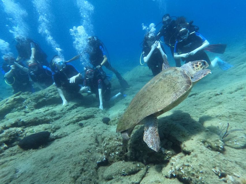 Heraklion: Scuba Diving Experience for Beginners _Beach - What to bring, what to avoid, and who should skip it