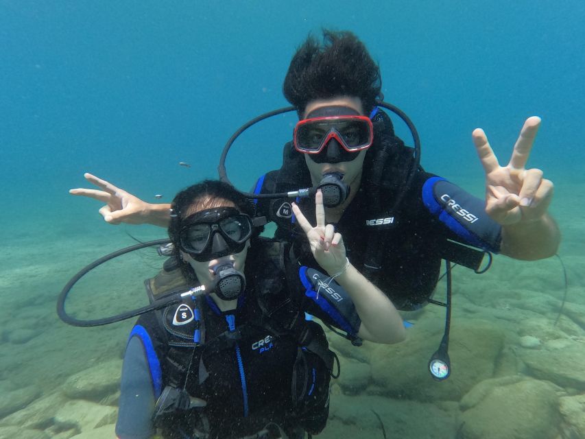 Heraklion: Scuba Diving Experience for Beginners _Beach - What you’ll see under the surface, and what to expect realistically