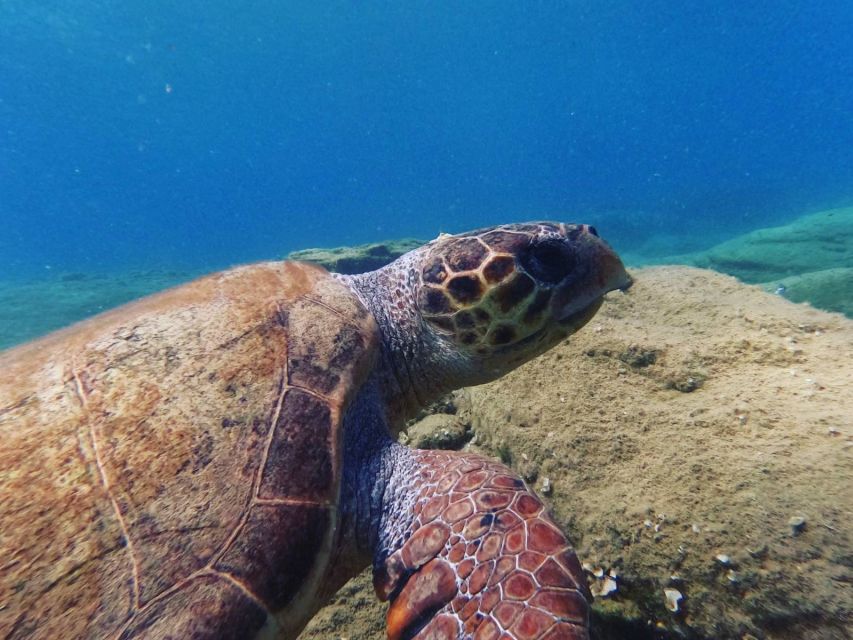 Heraklion: Scuba Diving Experience for Beginners _Beach - Safety and the human touch: how the instructors keep nervous beginners steady
