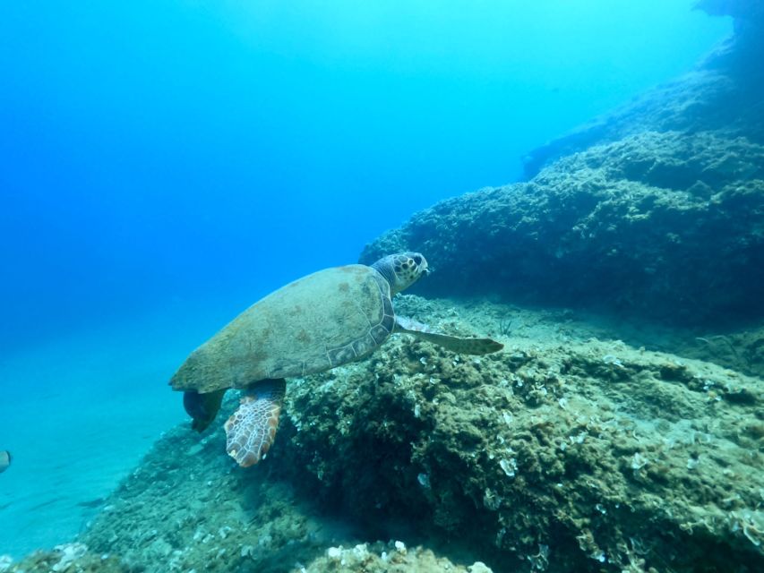 Heraklion: Scuba Diving Experience for First-Timers - The Training: Breathing, Equipment, and Hand Signals You’ll Actually Use