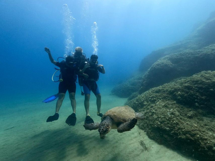Heraklion: Scuba Diving Experience for First-Timers - Photos Included, But Ask How You Get Them