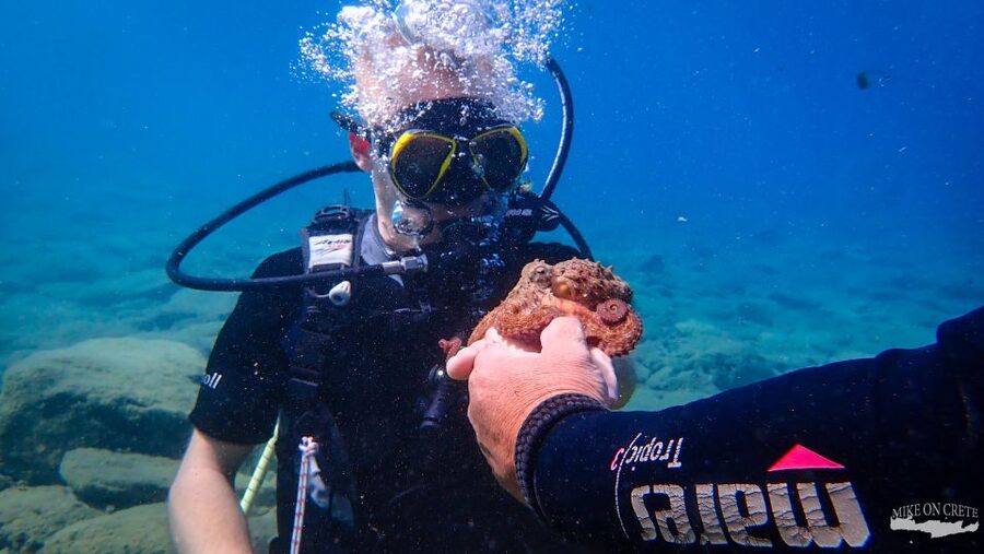 Heraklion: Scuba Diving Experience for First-Timers - Transfers From Agia Pelagia and Malia, and Why Pickup Can Matter