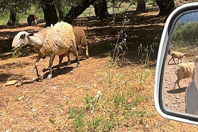 Jeep Safari 4x4 Crete real off road mountain tracks with Lunch from Hersonissos - The Kalo Chorio Break: Toilets, Traditional Taverna, and a Real Pause