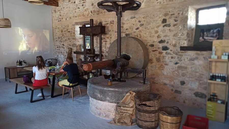 Kalamata: The Olive Oil Routes Tour - Logistics that matter: getting to Androusa and dressing for the day