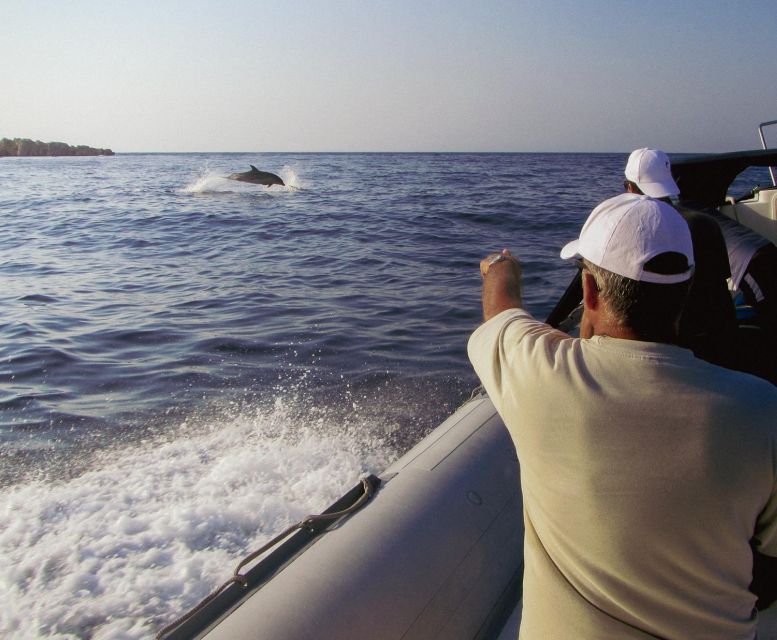 Kamiros Skala : Marine Life Experience & Alimia Island - Practical tips that make the day smoother (and more fun)