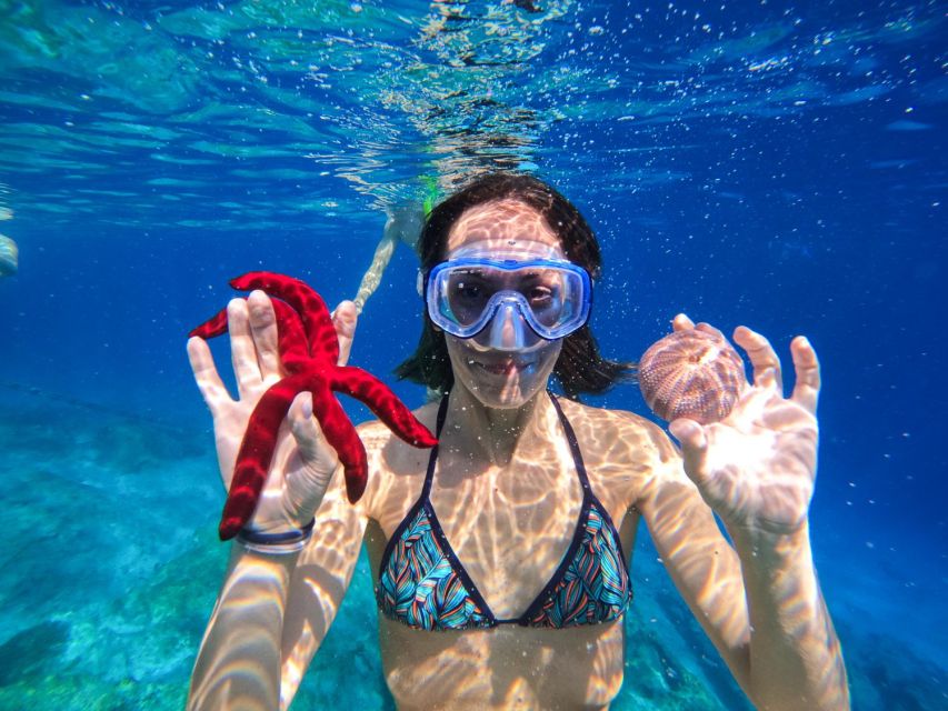 Kamiros Skala : Marine Life Experience & Alimia Island - Alimia Island time: swim, explore two churches, and actually rest