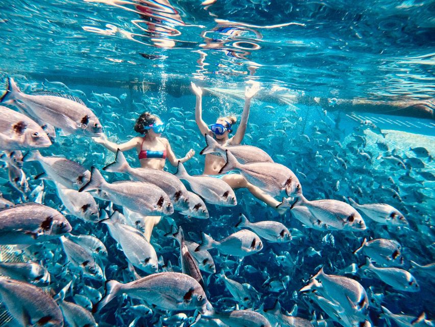 Kamiros Skala: Marine Life Experience by Boat - Key things that make this boat trip worth it