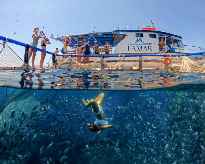 Kamiros Skala: Marine Life Experience by Boat - Who Should Book This Boat and Snorkel Experience
