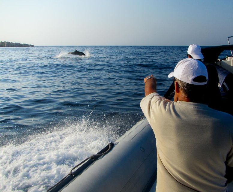 Kamiros Skala: Marine Life Experience by Boat - Makri Islet Dolphin Watching: What the Crew Looks For
