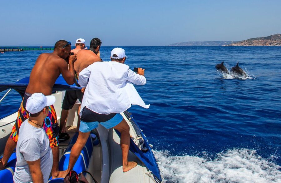 Kamiros Skala: Marine Life Experience by Boat - The Marine Biologist Talk, Aquaculture, and Why It’s More Than Trivia