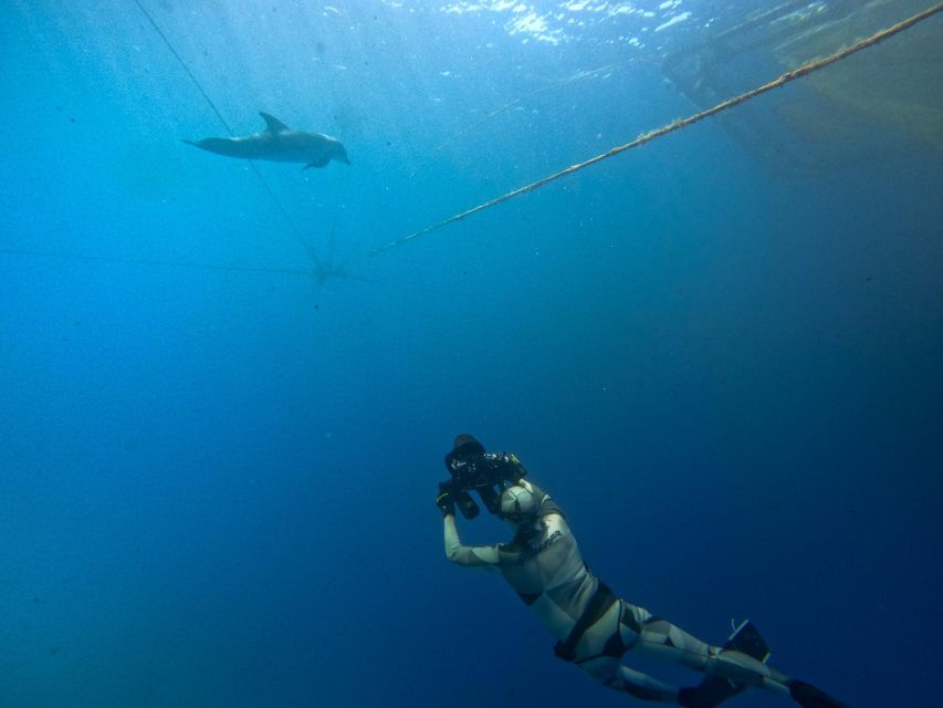 Kamiros Skala: Marine Life Experience by Boat - What the Timing Actually Feels Like: Stops, Cruising, and a Second Dolphin Chance