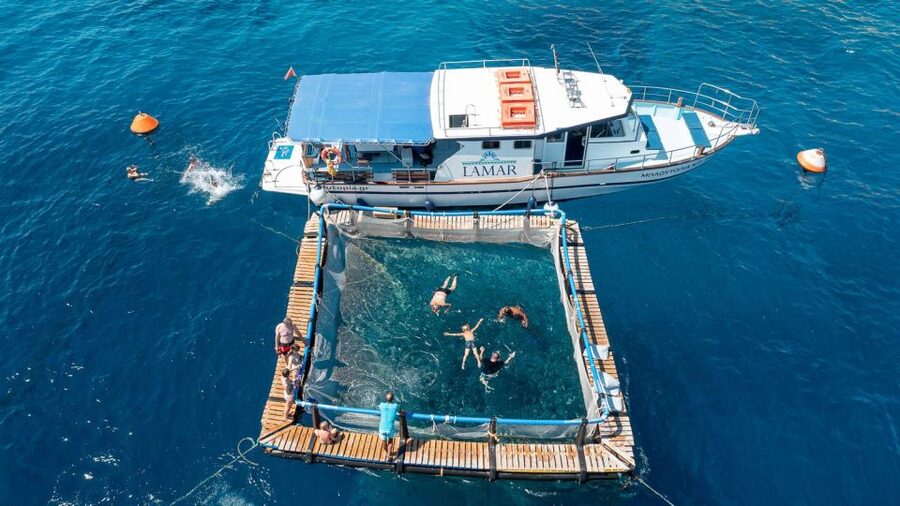 Kamiros Skala: Marine Life Experience by Boat - Getting There From Kamiros Skala, and What to Bring