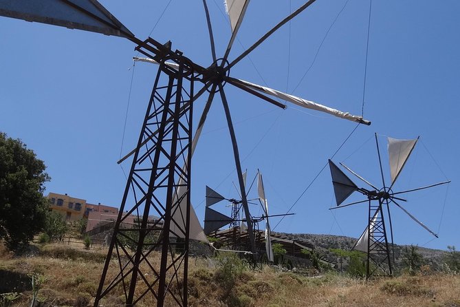 Katharo Route Tour from Agios Nikolaos - Lunch in the mountains: 3 courses, vegetarian option, and unlimited wine