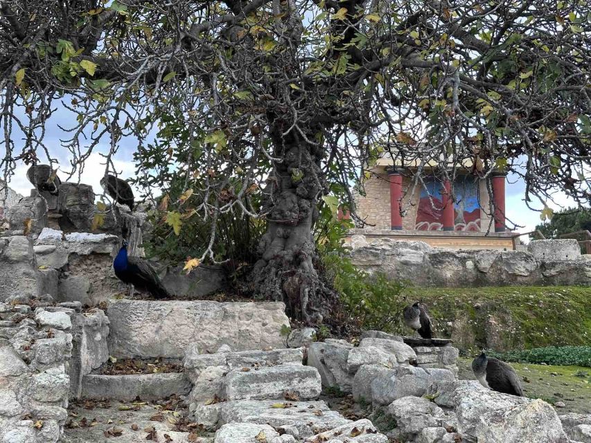 Knossos Palace Skip-the-Line Ticket & Private Guided Tour - Timing at Knossos: quieter light, cooler pacing, better photos