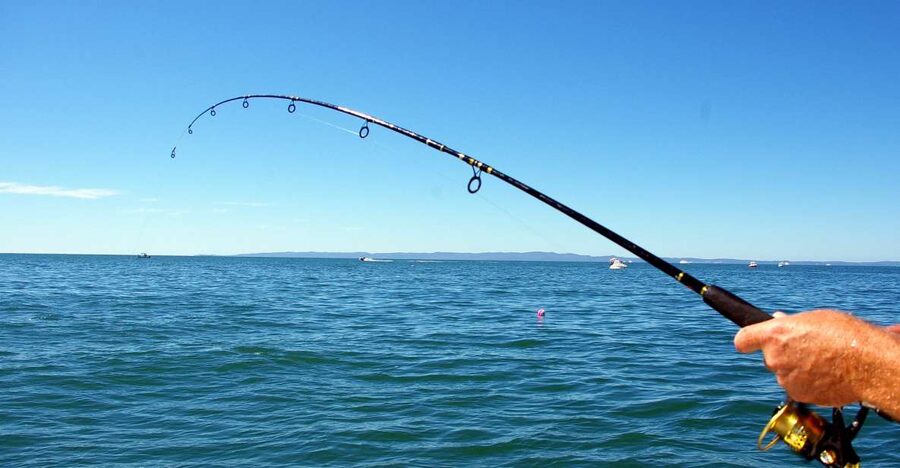 Kos: Fishing Trip Experience with a Greek Fisherman's Family - A Family-Run Fishing Morning Off Kos Port