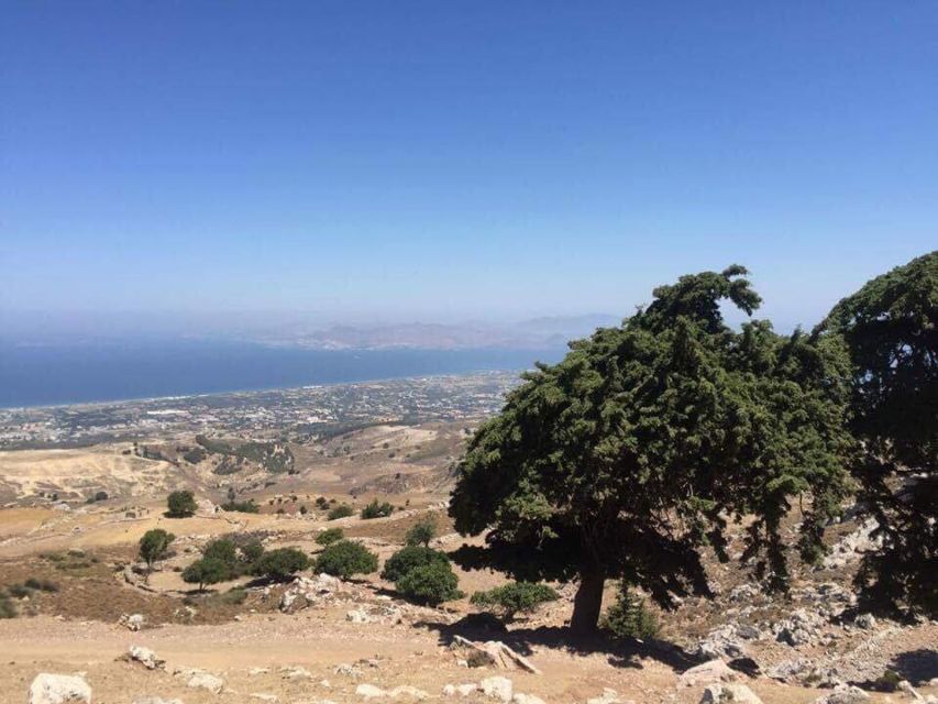 Kos: Full-Day Jeep Safari with Lunch - Turtle Lake: when you want a quieter kind of nature stop