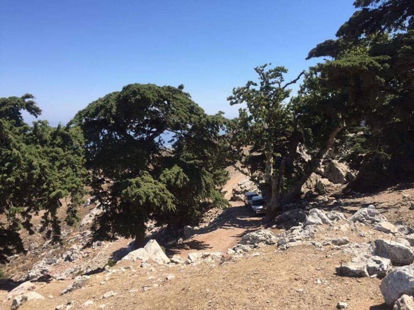 Kos: Full-Day Jeep Safari with Lunch - Mount Dikaios viewpoints and Profitis Ilias chapel