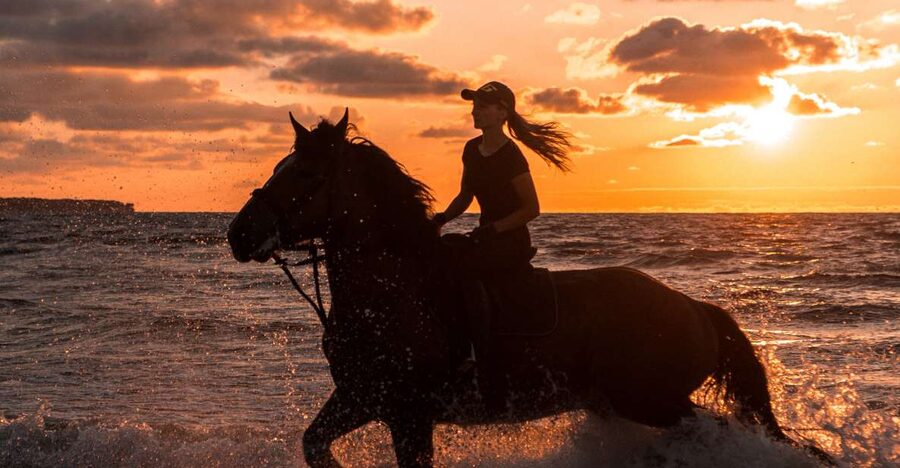 Kos: Horse Riding Experience on the Beach with Instructor - Key things that make this beach ride special