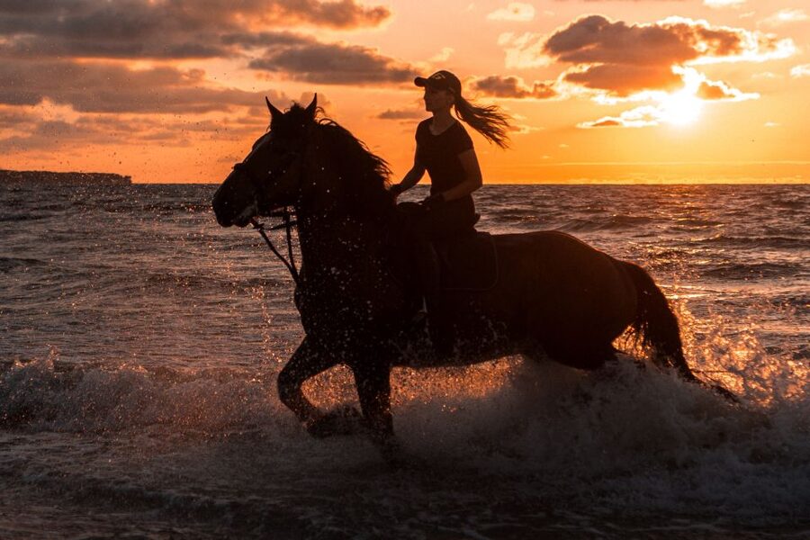 Kos: Horse Riding Experience on the Beach with Instructor - Pickup to Tigaki: how the transfer sets your expectations