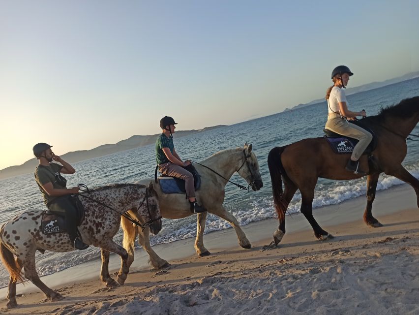 Kos: Horse Riding Experience on the Beach with Instructor - The route: from the salt lake area to the sandy beach